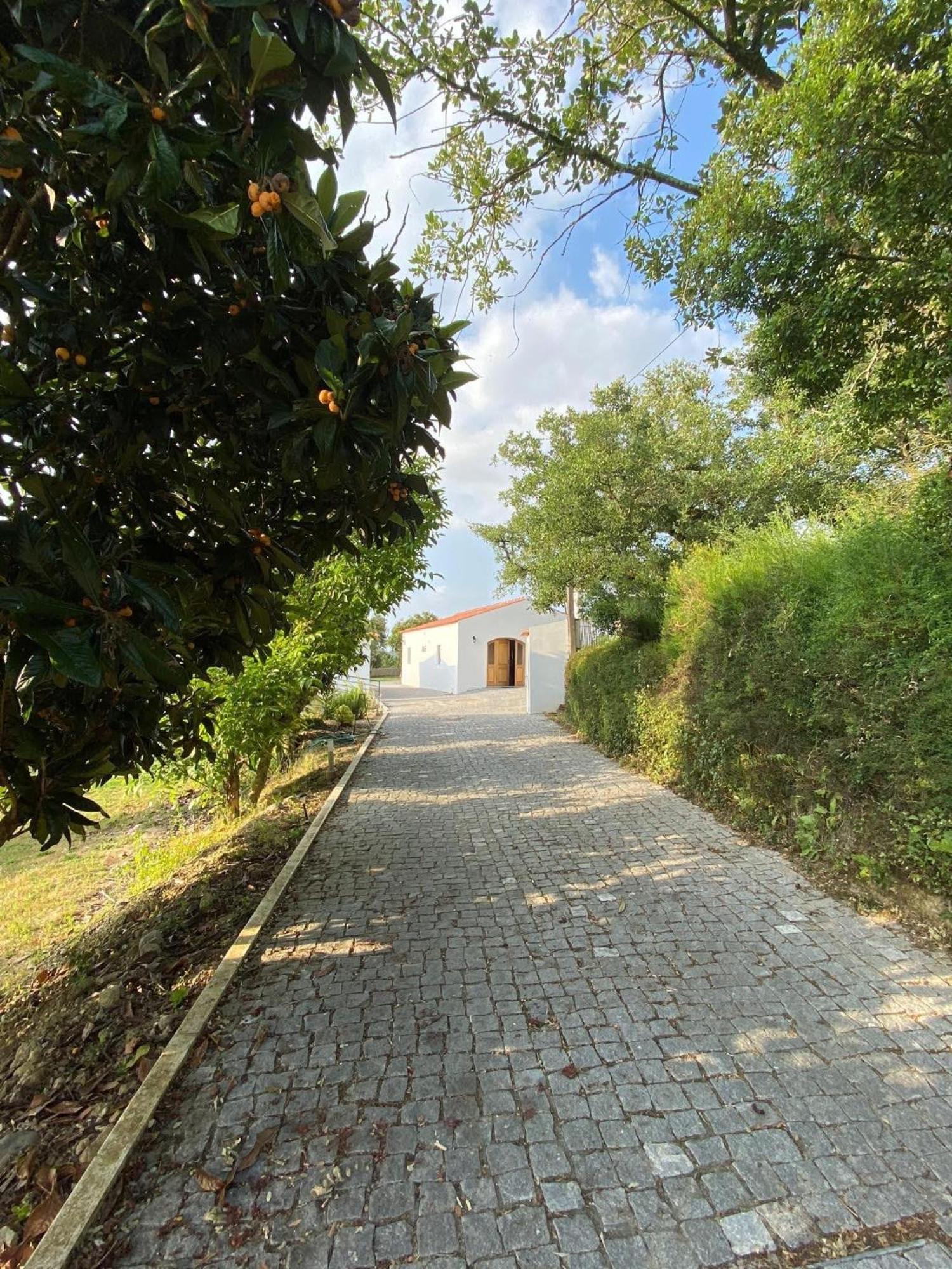 Villa Quinta Boa Vida Alcobaça Exterior foto